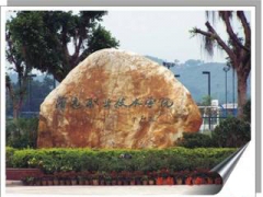 清遠職業(yè)技術(shù)學院